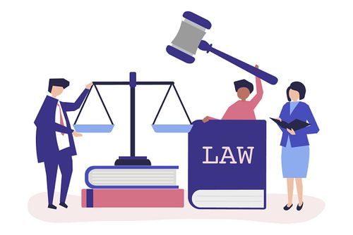 法律服务培训资料